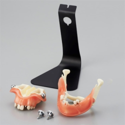 Implantat Studiemodel 